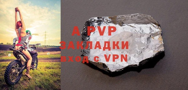 стафф Алексин