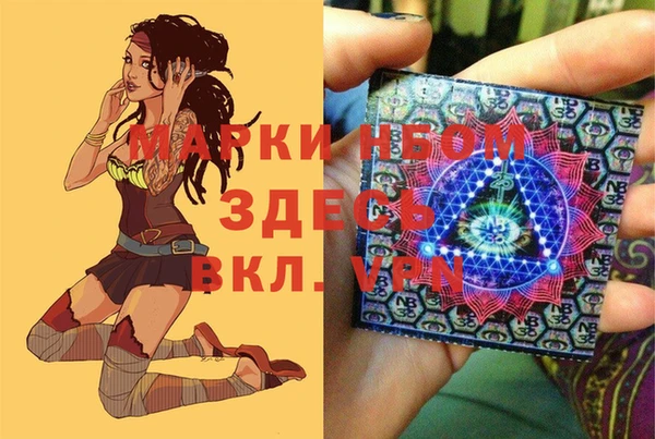 стафф Алексин