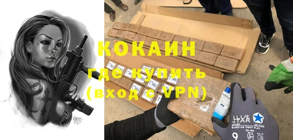 стафф Алексин